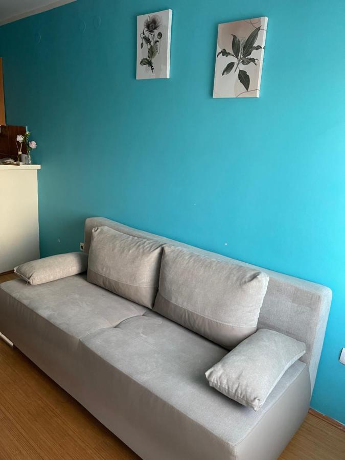 Apartment Elefant 021 Újvidék Kültér fotó
