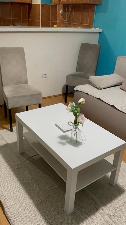 Apartment Elefant 021 Újvidék Kültér fotó