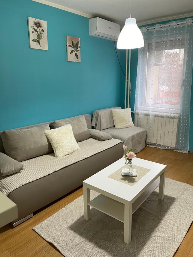 Apartment Elefant 021 Újvidék Kültér fotó